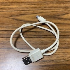 iPhone 充電ケーブル  60㎝  DAISO