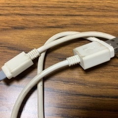 iPhone 充電ケーブル  60㎝  DAISOの画像