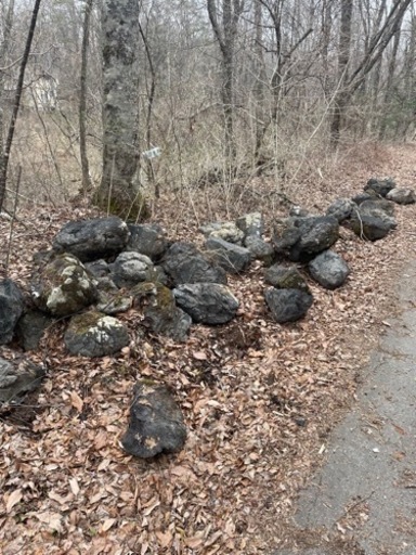 生活雑貨 家庭用品 ガーデニング