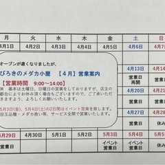 ぴろきのメダカ小屋2024🐟OPENです