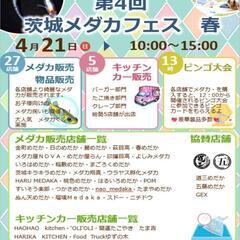 🌷ஐ೨🌸王華🌸ஐ೨🌷茨城メダカフェス🌸ALL1000円🉐はるいろめだか🌸の画像
