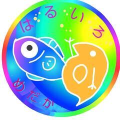 🌷ஐ೨🌸王華🌸ஐ೨🌷茨城メダカフェス🌸ALL1000円🉐はるいろめだか🌸の画像