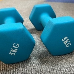 【お引き取り先決定】ダンベル5kg ×2個