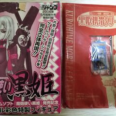 （非売品）魔法使い 黒姫 黒姫フル彩色特製フィギュア