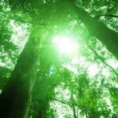 中山寺がある山を一緒に歩きませんか：中山寺～奥之院コース