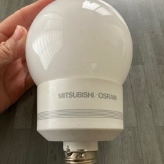 電球形蛍光灯