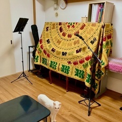 横浜線　ピアノ弾き語り教室　ボイストレーニング付きの画像