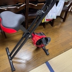 エアロバイク STEADYの画像
