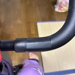 エアロバイク STEADYの画像