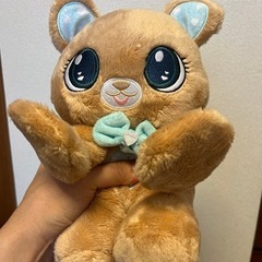 トイザらス　いないいないばぁ　くま　ぬいぐるみの画像