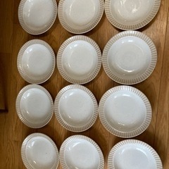 【新品】12枚セット★ 美濃焼★パスタ・カレー皿 21cm リム茶ストライプの画像
