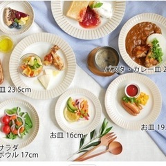 【新品】12枚セット★ 美濃焼★パスタ・カレー皿 21cm リム茶ストライプの画像