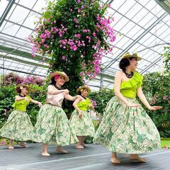 【小城市】で フラダンス！ の画像