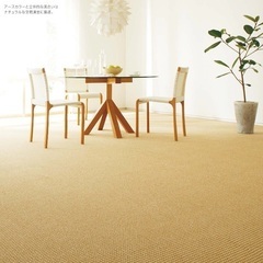 カーペット 東リ 日本製 団地6帖【セグエ255×340】新品未使用