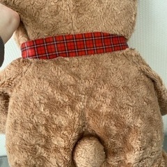  くまのぬいぐるみの画像