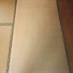 畳６畳（１F）　無料でお譲りしますの画像