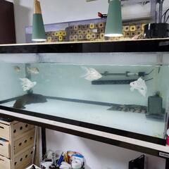 値下げしました！1200アクリル水槽フルセット