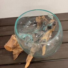 ガラスの器と流木のオブジェ②の画像