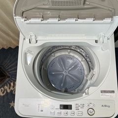 使用3カ月✨SHARP✨全自動✨洗濯機✨4.5k✨清掃済み😊の画像