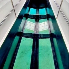 グラスボート船長(操船経験者)の画像