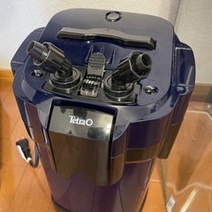 【急募】60cmガラス水槽セットの画像