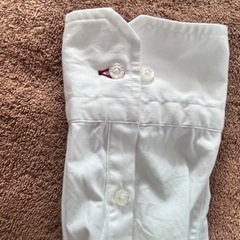シャツ　星　スターの画像