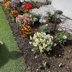 花壇の土　14Lの画像