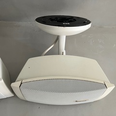 BOSE DS40SE-CMB W/ホワイト (2本) の画像