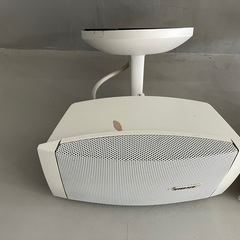 BOSE DS40SE-CMB W/ホワイト (2本) の画像
