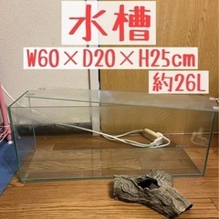 GEX AQUARIUM グラステリアスリム600水槽 フレーム...