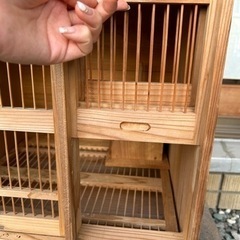 小鳥　箱庭　鳥籠　木製　木箱の画像