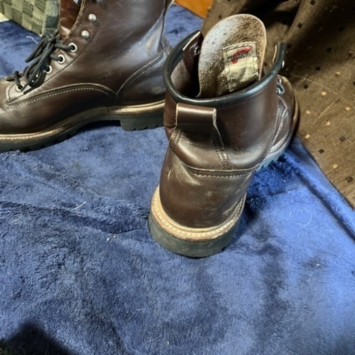 レッドウィングアイリッシュセッターRED wing
早い人