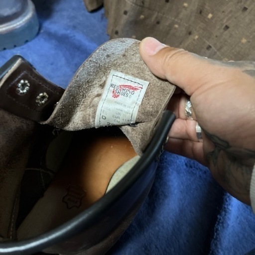 レッドウィングアイリッシュセッターRED wing
早い人