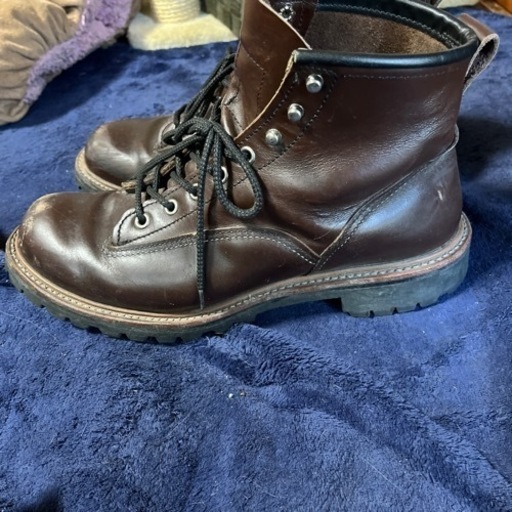 レッドウィングアイリッシュセッターRED wing\n早い人