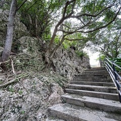 ★浦添城跡スケッチ会★の画像