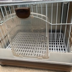 うさぎ小屋