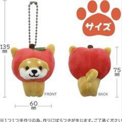 旅するマメしば 和歌山南高梅 ボールチェーン ご当地ストラップ 和歌山限定 キーホルダー おみやげ プレゼントの画像