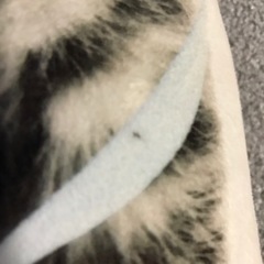 スポーツ 野球の画像