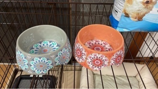 ペット用品
