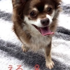 素敵な家族の一員になれました🥰　ありがとうございました☺️
