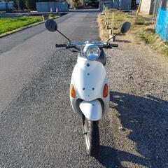 原付　バイク スズキ