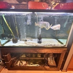 お取引終了の画像