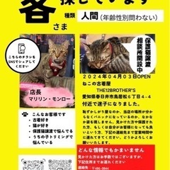 ねこの古着屋THE12BROTHER'S