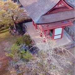 無料でドローン撮影