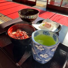 アプリ用の映え写真撮りにいきましょう！ − 東京都