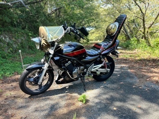 【期間限定値下げ】バリオス2