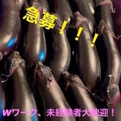 急募！Wワーク、日曜日だけでも勤務できる方、未経験者大歓迎！！