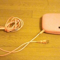 あったか電気あんか