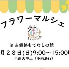 多肉植物　セダム　苗　100円〜　①の画像