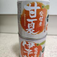 みかん缶詰セット